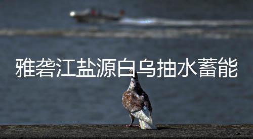 乌抽站中水蓄标结果能电江盐雅砻源白