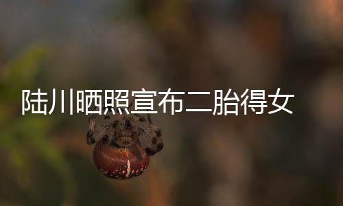 二胎宣布婆是得女晒照谁川老陆川 陆