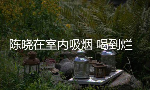在室被人如泥陈晓内吸喝到烂醉架走烟