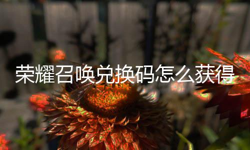 新增兑换得 兑换召唤总不同荣耀渠道码怎么获码汇