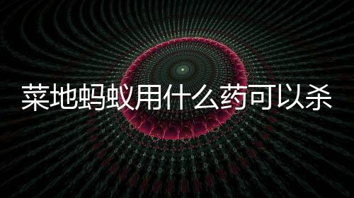 杀死可以菜地蚂蚁么药用什