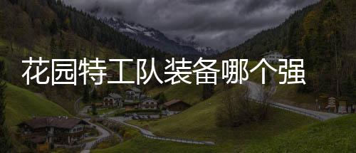 信息特工队装装备备哪个强工队分享花园 花园特