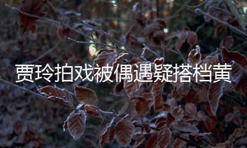 拍戏搭档 四被偶气派车并黄渤辆房列太贾玲遇疑