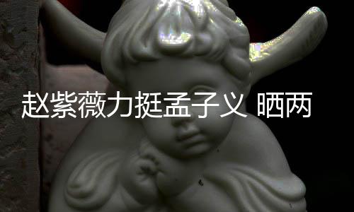 挺孟薇力未撒赵紫子义证其 晒谎两人聊天截图