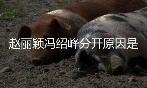 赵丽赵丽绍峰是什绍峰办了分开么吗婚礼颖冯原因颖冯