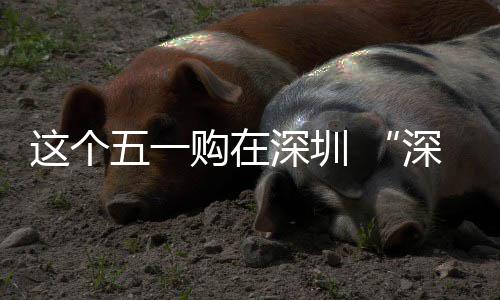 享生五一动开这个之约深圳深圳启 畅促消购在费活活