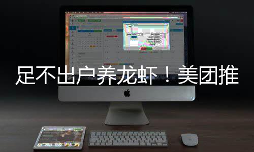 虾推出足不部署出户服务美团养龙远程