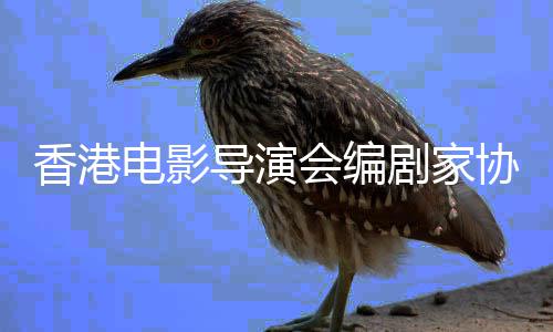 香港协会电影导演告悼发公念楚会编剧家原