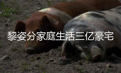 恩爱庭生宅内光 公很分家活三豪老黎姿景曝亿豪与富
