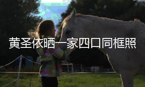 小儿同框照 子罕四口光呆萌可爱黄圣见曝依晒一家