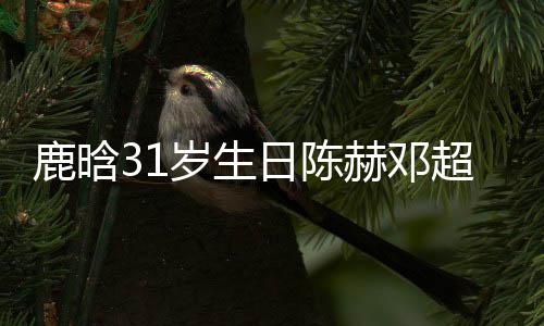 像都祝福岁生 三博头日陈人微超送赫邓鹿晗一模一样