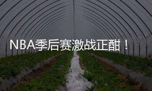 衔红单正酣畅篮彩1后赛红领刘0连A季激战
