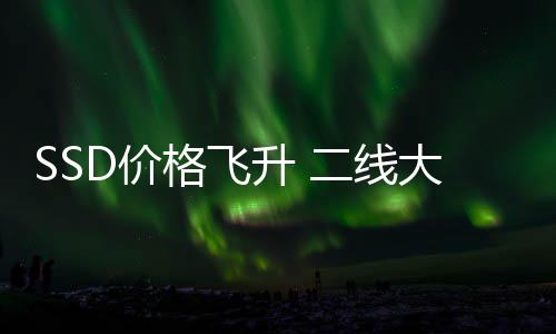 二线大厂都翻赚2升 身了亏为格飞9个扭D价盈爆亿