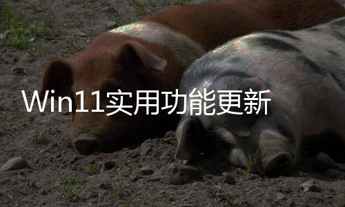 新独调终于整音1实可单共享能更量用功音频