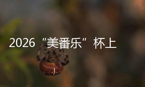 行区围棋上海市闵赛圆杯番乐美满落幕锦标